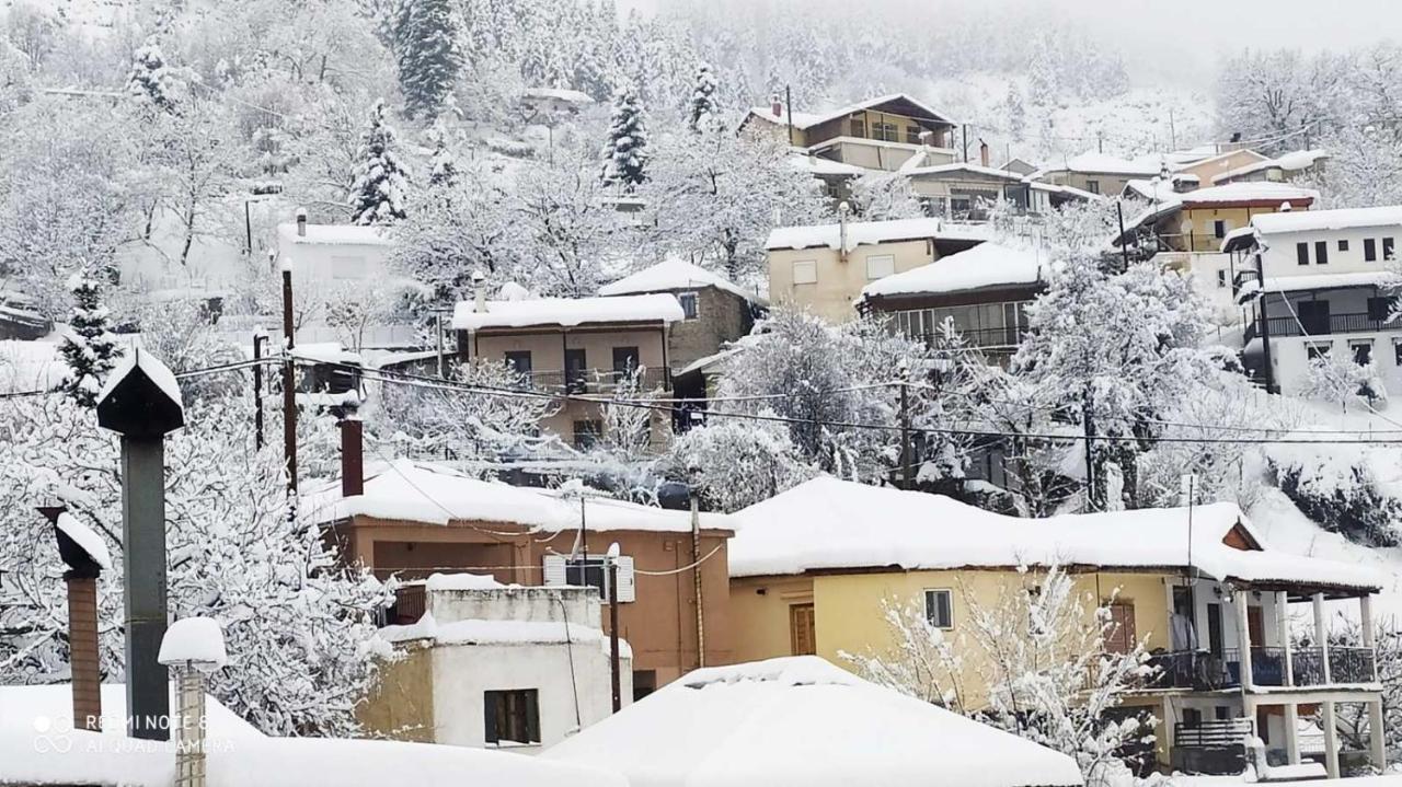 Elena'S Villa Chrysomiléa المظهر الخارجي الصورة