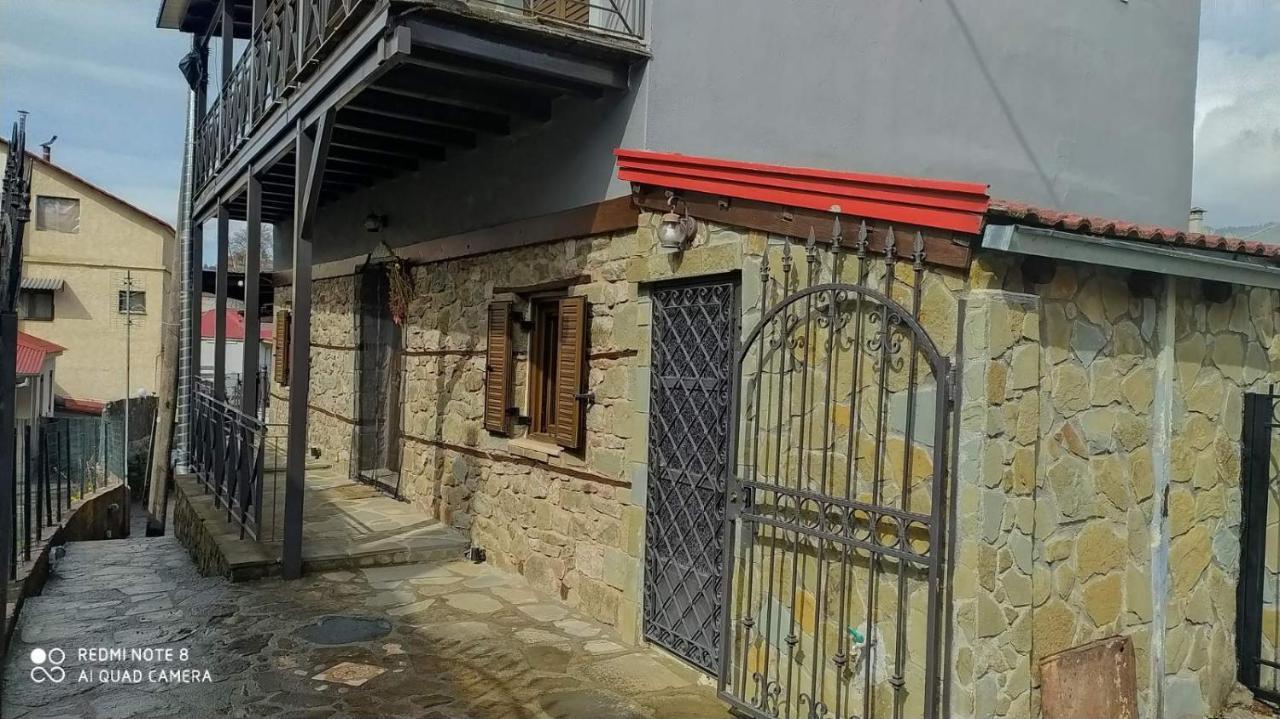 Elena'S Villa Chrysomiléa المظهر الخارجي الصورة